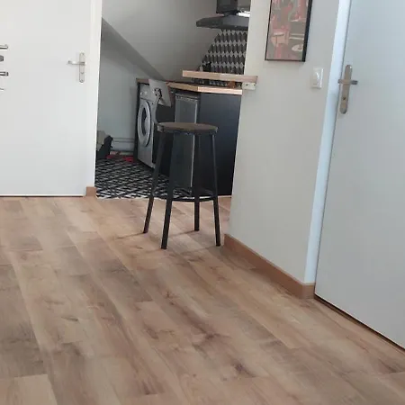 Apartment Alpine Mansarde Chorrier Berriat Clinique Mutualiste *