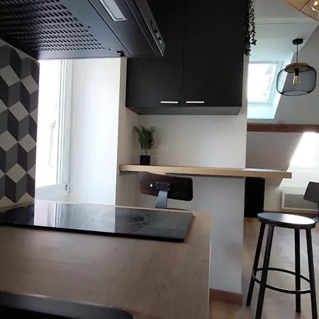 Alpine Mansarde Chorrier Berriat Clinique Mutualiste Apartment