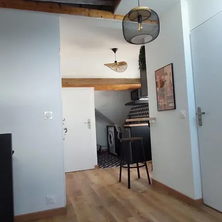 Apartment Alpine Mansarde Chorrier Berriat Clinique Mutualiste