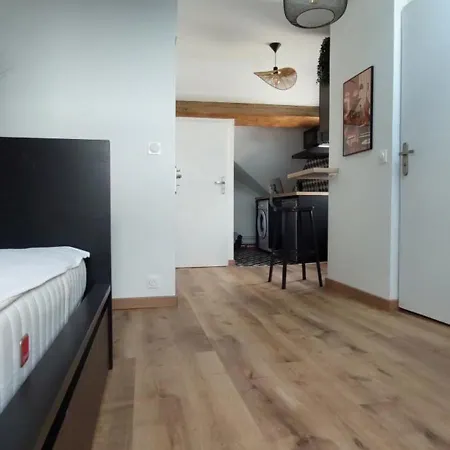 Apartment Alpine Mansarde Chorrier Berriat Clinique Mutualiste
