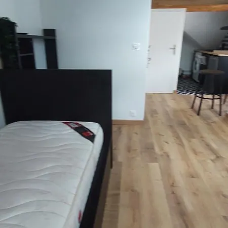 Apartment Alpine Mansarde Chorrier Berriat Clinique Mutualiste Grenoble