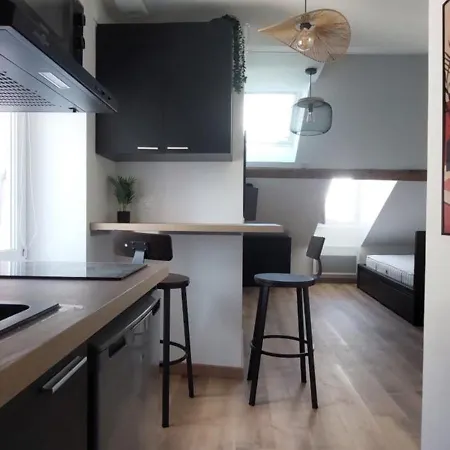Alpine Mansarde Chorrier Berriat Clinique Mutualiste Apartment *