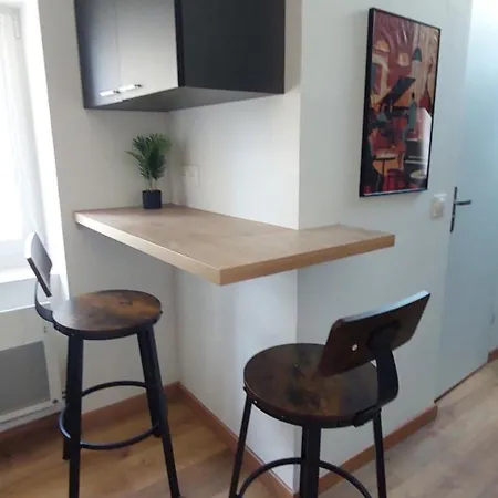 Alpine Mansarde Chorrier Berriat Clinique Mutualiste Apartment Grenoble