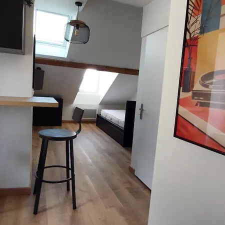 Alpine Mansarde Chorrier Berriat Clinique Mutualiste Apartment Grenoble