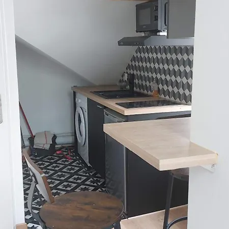 Apartment Alpine Mansarde Chorrier Berriat Clinique Mutualiste Grenoble