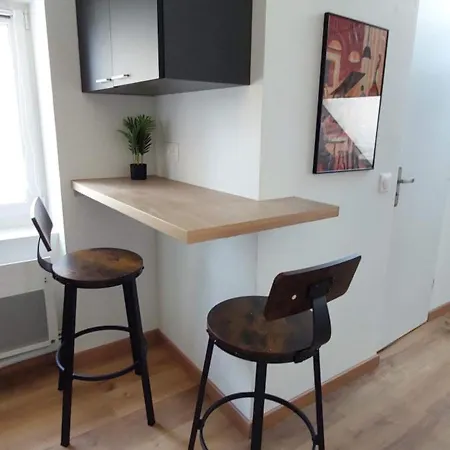 Alpine Mansarde Chorrier Berriat Clinique Mutualiste Apartment