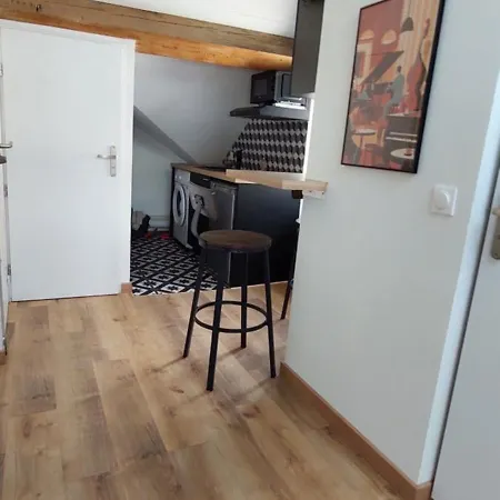 Apartment Alpine Mansarde Chorrier Berriat Clinique Mutualiste Grenoble