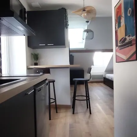 Alpine Mansarde Chorrier Berriat Clinique Mutualiste Apartment