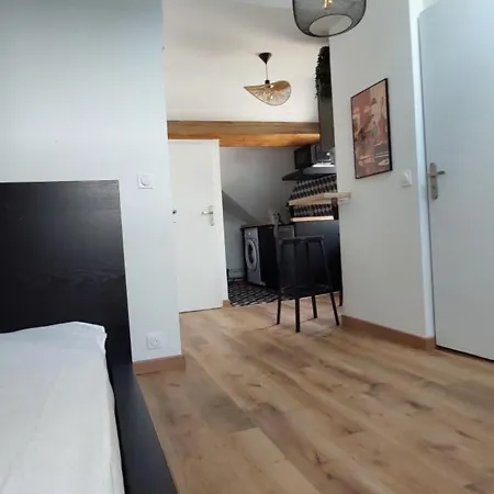 Alpine Mansarde Chorrier Berriat Clinique Mutualiste Apartment