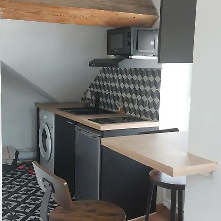 Apartment Alpine Mansarde Chorrier Berriat Clinique Mutualiste Grenoble