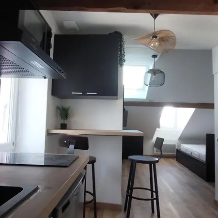 Alpine Mansarde Chorrier Berriat Clinique Mutualiste Apartment *