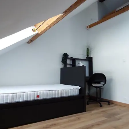 Alpine Mansarde Chorrier Berriat Clinique Mutualiste Apartment
