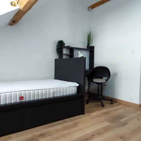 Alpine Mansarde Chorrier Berriat Clinique Mutualiste Apartment Grenoble