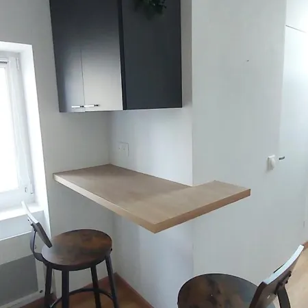 Alpine Mansarde Chorrier Berriat Clinique Mutualiste Apartment Grenoble