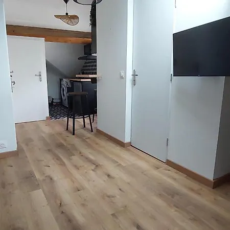 Alpine Mansarde Chorrier Berriat Clinique Mutualiste Apartment