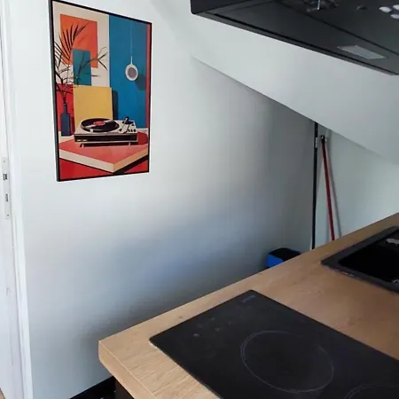 Apartment Alpine Mansarde Chorrier Berriat Clinique Mutualiste