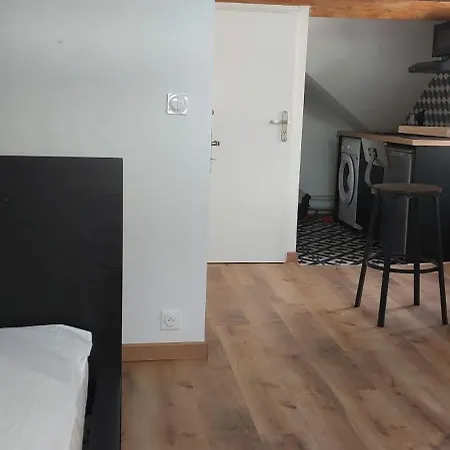 Alpine Mansarde Chorrier Berriat Clinique Mutualiste Apartment Grenoble